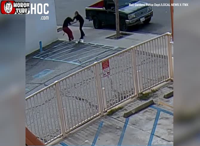 Video :Woman beaten and pepper sprayed by dog ??thief who snatches puppy from her arms in broad daylight